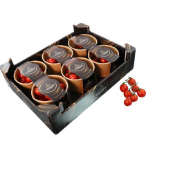 TOMATE CERISE HONIGTOMATEN 6X180G